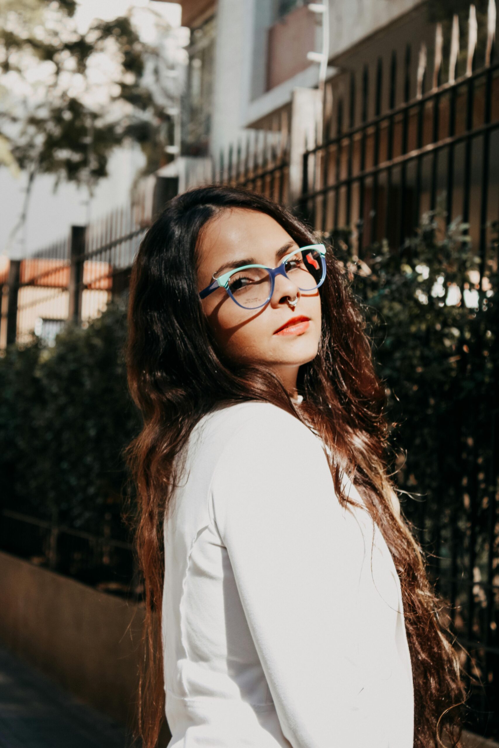 pexels-murillohm-23284122