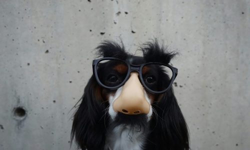 Mitos e verdades da miopia