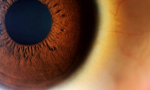 Cuidados com os olhos no dia a dia (que ninguém te contou!)