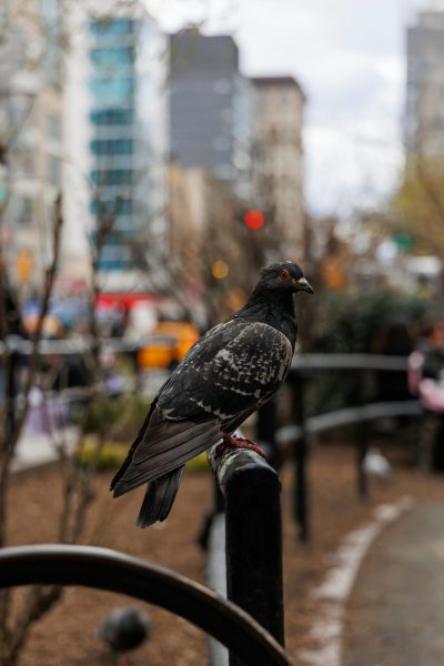 pexels-shanerich5-34305380